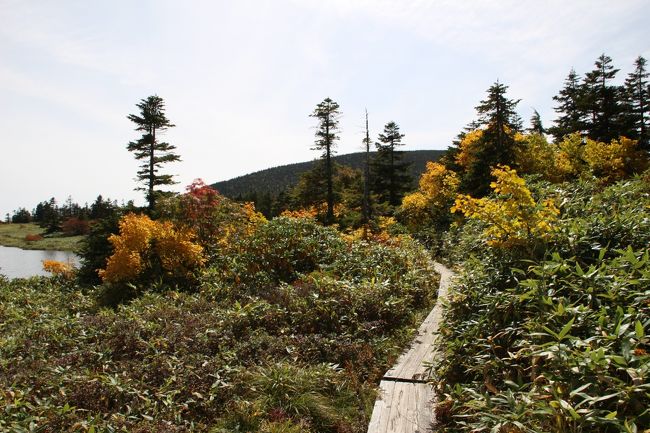 ☆鎌沼周回登山道から望む鎌沼＆東吾妻山（1974m）<br /><br />遠くから見ると芝生か牧草地のような緑も<br />実際はチシマザサやクマザサで<br />木道脇こそ下刈りされていますが<br />少し外れれば草丈は１ｍ以上はあります。
