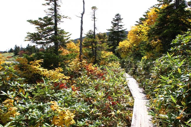 ☆鎌沼周回登山道