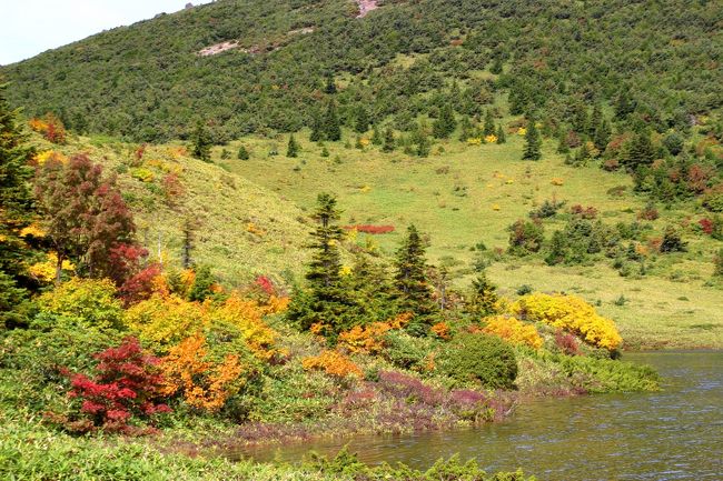☆鎌沼周回登山道から望む鎌沼＆前大巓(1911m)