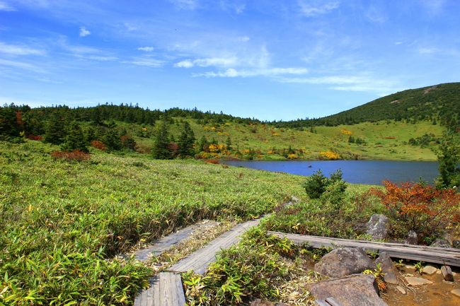 ☆鎌沼周回登山道から望む鎌沼＆前大巓(1911m)<br /><br />この牧歌的な鎌沼周辺の木道には何か所も<br />ベンチシートがあるので小休止したり<br />昼食をとったりするのに最適です。<br />周囲の山々が高山の割にみななだらかなので<br />威圧感がまったくないので<br />天気さえ穏やかだったら最高のハイキングコースです。<br />