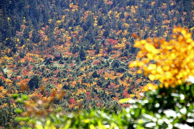 ☆鎌沼周回登山道から望む東吾妻山（1974m）山麓