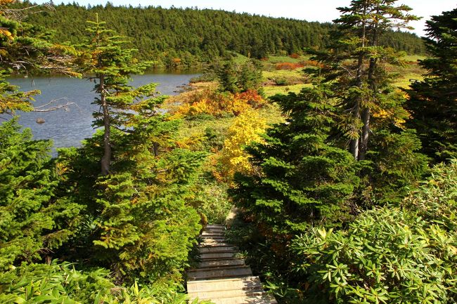 ☆鎌沼周回登山道から望む鎌沼<br /><br />ほぼ平坦な鎌沼周回木道で唯一階段のあるポイント。