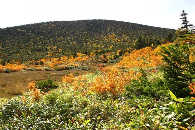 ☆鎌沼周回登山道から望む東吾妻山（1974m）<br /><br />何処から見ても穏やかな山容の東吾妻山（1974m）。