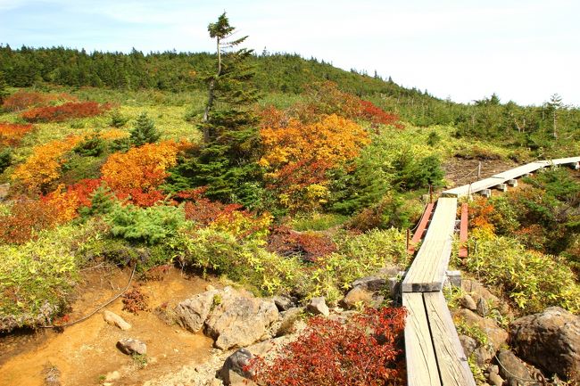 ☆鎌沼周回登山道 板橋周辺の紅葉<br /><br />鎌沼周回木道で唯一の塩ノ川に架かる1本板橋から<br />姥ケ原方面を望んだ構図。