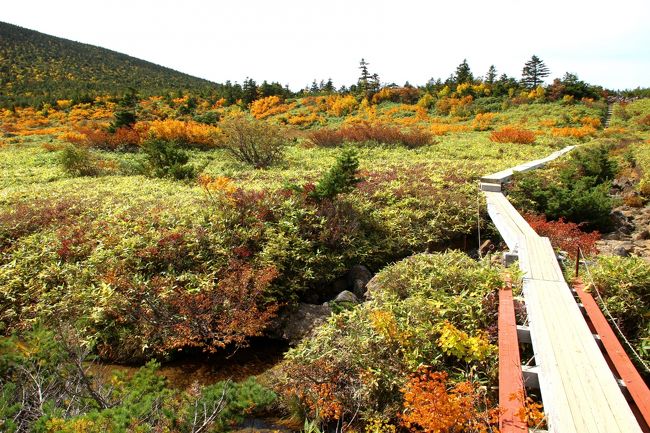 ☆鎌沼周回登山道 板橋周辺から望む姥ケ原方面