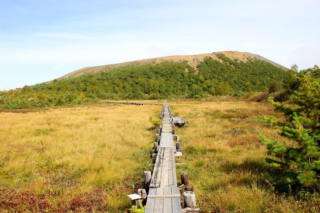 ☆浄土平湿原遊歩道から望む吾妻小富士（1707m）<br /><br />浄土平の西半分は浄土平湿原保護地域で<br />遊歩道が敷設されています。<br /><br />浄土平湿原は、新しい火山地域に属し、標高1,570mから1,600mに位置する亜高山帯の平地です。<br />北に一切経山、東は吾妻小富士、南に桶沼、西の蓬莱山と四方を囲まれた凹地で、一切経山から噴出した泥土や岩塊に埋められ、火山活動がくりかえされてきました。そのために乾 燥地と湿潤地、またその中間の適潤地とに区別され、それぞれ異質の植物群落の発達が見られます。<br />乾燥地での植物群落は、ススキ、コメススキ、ヒメスゲ、メイゲツソウ、ミネヤナギなど。<br />湿潤地では、ワタスゲ、エゾオヤマリンドウ、ガンコウラン、モウセンゴケなど。<br />　岩塊の多い適潤地では、イワカガミ、イソツツジ、シラネニンジン、ネバリノギラン、ハクサンチドリ、ミヤマアキノキリンソウなどが自生しています。<br />