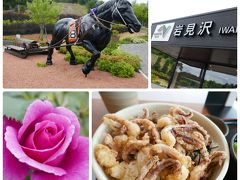 岩見沢サービスエリアで小休止。
イカげそ丼を食す。初めて食べたけど、ウマイ。
旭川北ＩＣで高速道路を降りて、目指すはgoto旭山動物園