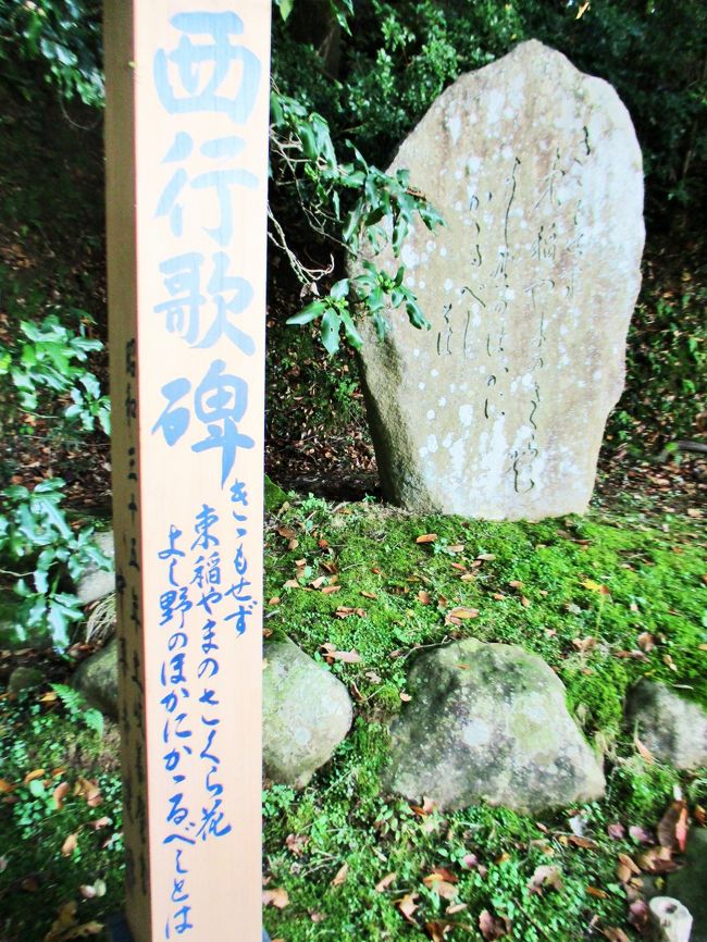 黄金色に染まる東北へ 一人でツアー参加 1日目バス走行距離:約245km