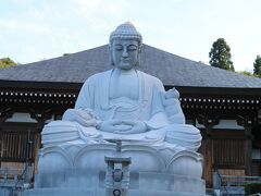 自宅から約二時間半
越前市の御誕生寺

昔から猫が好きだった興宗禅師が猫を拾ったり、もらったりして面倒を見るようになったことが猫寺のきっかけ
わけあって集まってきた数十匹の猫たちの里親を探したり、ケガや病気の手当てを行っています
境内で気ままにのんびりと過ごす猫たち、幸せだね