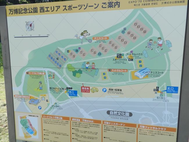 万博記念公園のポピー祭り ネモフィラも見られましたよ 18年gw 吹田 万博公園 大阪 の旅行記 ブログ By Joecoolさん フォートラベル 万博記念公園のポピー祭り ネモフィラも見られましたよ 18年gw 吹田 万博公園 大阪 の旅行記 ブログ By Joecoolさん フォートラベル