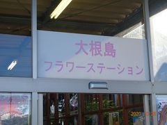 大根島に向かい由志園を観光します