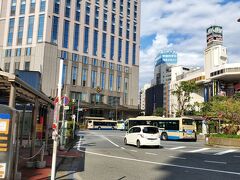 横浜イングリッシュガーデンのホームページを見たら 無料バスが出ていることが判明
久しぶりの横浜です