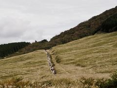 その後も胃がムカムカで気持ちが悪い。
油物三昧は胃が無理なんだろうな。昔から油物そんなに好きじゃなかったけど、歳とったなーと実感。

11時ギリギリまで寝転んで体調を落ち着けてチェックアウト。おかげさまで温泉も１回しか入れなかったし。
ハイアット箱根、なんか消化不良。今度体調整えて要リベンジだな。

体調もだいぶん戻ったので、仙石原のススキを見にいきましょう！

