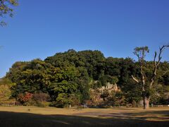 8時に宿を出て、まずは近くにある道後公園に向かった。
その公園は、伊予の守護大名河野通盛によって建武2年(1335)に築城され、代々、伊予守護の居城となった湯築城の跡だ。
正直、守護の居城とは思えないほど小さく感じる。