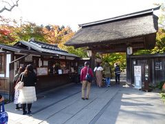 円通院
紅葉の時期には例年ライトアップがあり大人気のお寺ですが、今年は中止。

丸文汽船で貰ったクーポン券の提示で特典があったようなのですが、この時には気付かず。