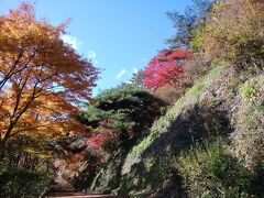 矢祭山公園紅葉がとってもきれいでした。