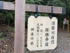スタート地点です。元箱根までは6キロ。