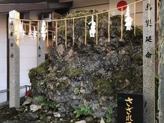 日本一のさざれ石なんだそうです。