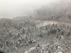 ケーブルカーから下を見下ろして愕然としました。なんだこれ、眼下は猛吹雪、私達は一体何処に来てしまったのか?昨日までは雪などなかったそうで、正に晴天の霹靂