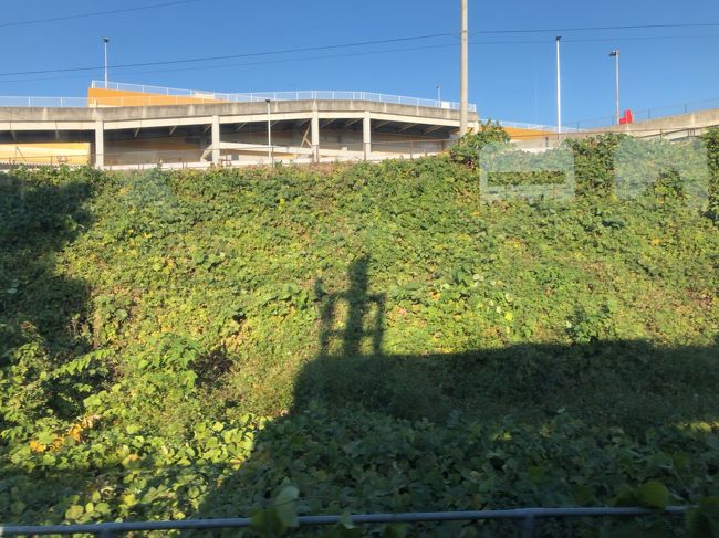 小山駅前で2泊3日 中日の前半 栃木 壬生 都賀 栃木県 の旅行記 ブログ By しげぞーさん フォートラベル 小山駅前で2泊3日 中日の前半 栃木 壬生 都賀 栃木県 の旅行記 ブログ By しげぞーさん フォートラベル