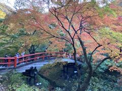 伊香保神社からさらに奥に進みます。
こちらは河鹿橋。
時刻は午後3時ですが、4時半からライトアップがあるそうです。