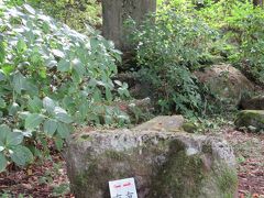 更に東に向かいます。
11：15　少しきつめの坂道を上ると「塩田城跡」の碑がありました。
