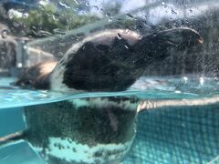 のとじま水族館

能登空港から車で約1時間、
そんなに大きくはない水族館ですが
インスタで話題になっていたので行ってみました！

何が話題かというと、、、