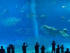 沖縄美ら海水族館