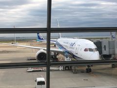 Go to トラベルキャンペーンを利用して沖縄に行きました。
今回のフライトはANA羽田空港 8:30発  →沖縄（那覇）空港 11:20着です。
