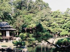 宇和島城跡から、すぐ近くにある天赦園にも立ち寄ってみる。
そこは、7代藩主伊達宗紀が、隠居所として慶応2年(1866)に築いた庭。
元は、2代藩主宗利が造った浜御殿の一部だったそうだ。
なかなか美しい庭だったが、藤の花が咲くころは、さらに美しいらしい。
