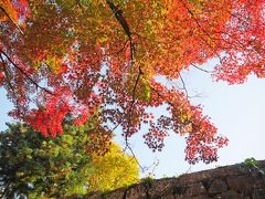 鶴ヶ城 (若松城、鶴ヶ城城址公園)