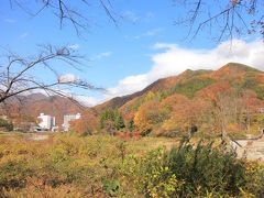 道の駅水紀行館近くの利根川沿いへやって来ました。
いや～紅葉の時期にここまで天気が良いことはなかなかないのですよね…
