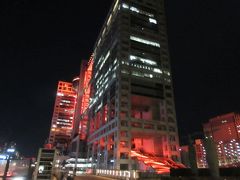 夜景でビックリしたのがフジテレビの建物は赤く染まっていること。
アラートみたい。。