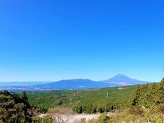 山中城跡すり鉢曲輪からの富士山と沼津市街地と相模湾。