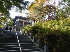 武蔵御嶽神社
マスクを付けながら、登りました。
御岳山の参道は幼児でも安全でしょう。