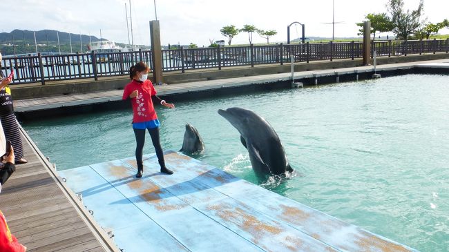 Gotoトラベル 沖縄１泊２日旅 もとぶ元気村 で ドルフィンウォーキングツアー 参加編 名護 沖縄県 の旅行記 ブログ By Masapiさん フォートラベル