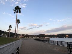 このヤシの木で南国感を醸し出している道、まどが浜海遊公園を東、柿崎方面に歩いてみました。
　