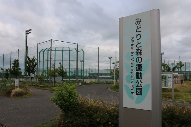 みどりと森の運動公園