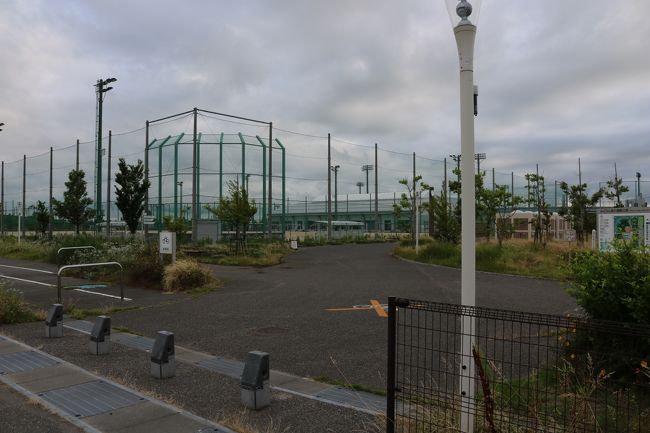 みどりと森の運動公園