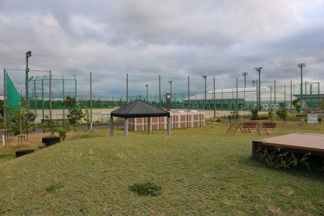 みどりと森の運動公園