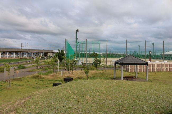 みどりと森の運動公園