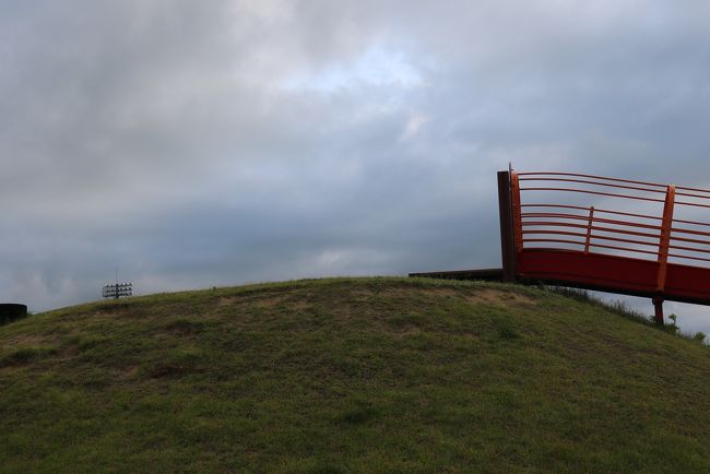 みどりと森の運動公園