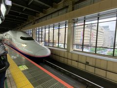 ★7:30

往路は上越新幹線のMAXで長岡へ。当時はえきねっとの半額キャンペーンのお陰で新潟まで買った方が安かったのでそちらを選択。尚11月からは長岡までの半額キャンペーンの設定も追加されました。

MAXでえきねっとの割引を使うと普通車の2階席に乗ることは不可能ということで、基本車端の平屋席に乗っています。こじんまりしていて落ち着くのでオススメです。
尚乗車率は隣にこそ来ないものの、結構埋まっていて以前の姿に戻りつつあるようです。

★3密危険度…
★☆