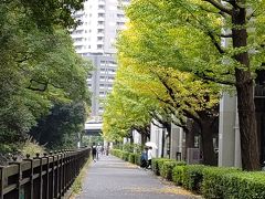 もうひとつの出口 中の御門から退出
知らなかったよ 浜松町駅そばとこっちが違う公園だなんて いちょうはまだですねぇ