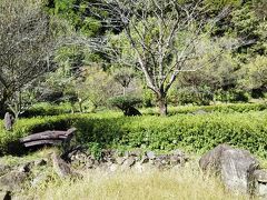 宮の杜ふれあい公園