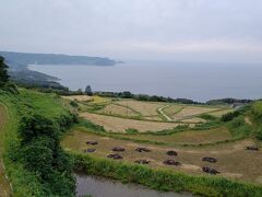 東後畑棚田