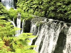 白糸の滝

08月13日（火）　　16:20

150m程の遊歩道に沿って流れる
湯川のせせらぎに癒されながら
歩いていくと

