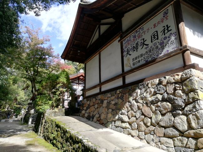 奈良公園散策 奈良市 奈良県 の旅行記 ブログ By ごんちゃんさん フォートラベル