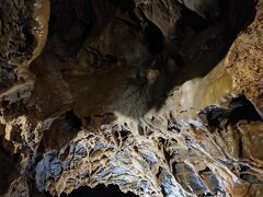 鍾乳洞は、かつて入口が塞がり100年後に採掘し再び開園したそうです。