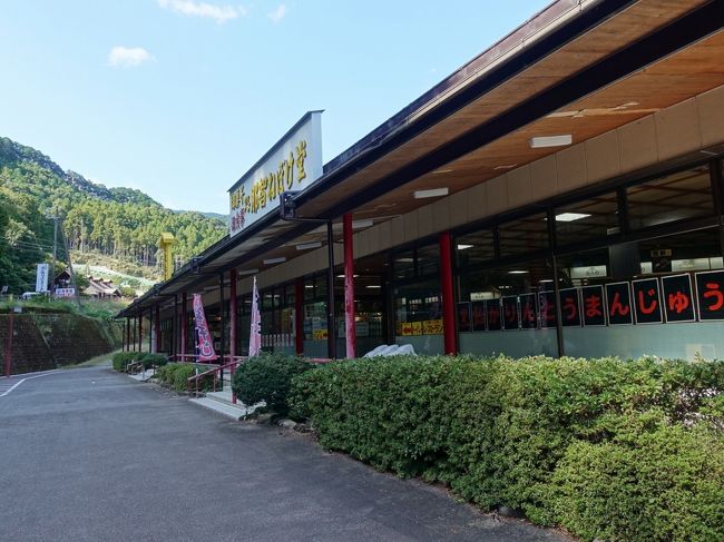 Amazon.co.jp: 二百万歩のほとけ道 熟年夫婦が歩いた四国遍路